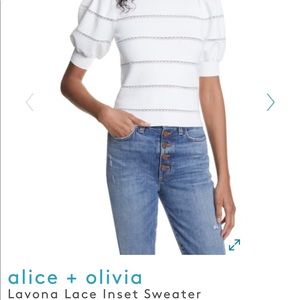 :: LOOKING FOR :: a +o lavona sweater!